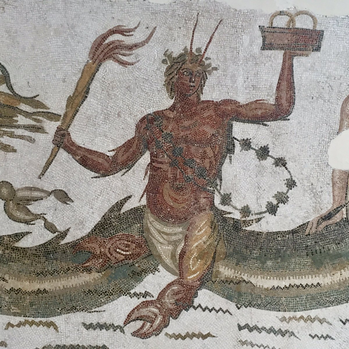 Протей в честь персонажа греческих мифов. Протей морское божество. Протей в честь персонажа греческих мифов. Нерей греческая мифология. Нерей морской бог.