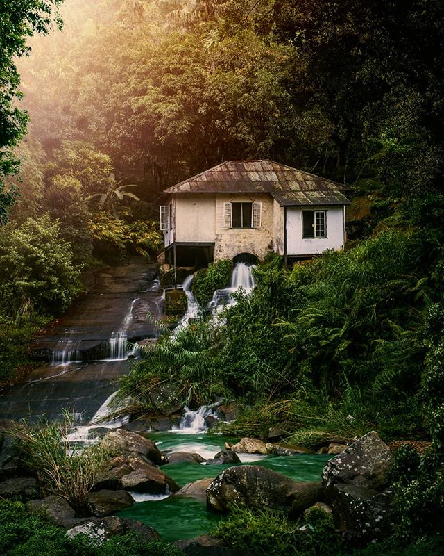 knowSLfeed's tweet photo. Nawalapitiya is another hill country town in Kandy District that is famed for its ideal climate, mellow vibes and natural wonders it holds. More at https://t.co/p5ZROjpPNi or the KNOWSL APP.

Photo: @harith_sankalpa. #SriLanka #LKA #Travel #KNOWSRILANKA #KNOWSL #nawalapitiya https://t.co/piM60Z5huO