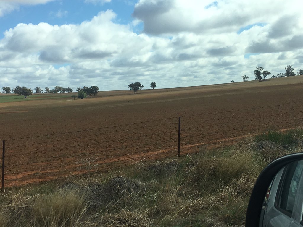 luvfarming's tweet photo. Well here we are again annual trip to Agquip and still no rain #poorbuggers hope it rains this summer #agquip19 https://t.co/w0aEiGSGpT