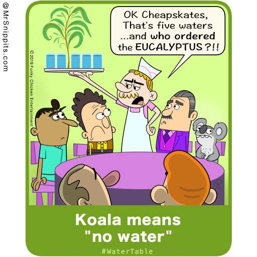MrSnippits's tweet photo. The Australian aboriginals and native people were the first to discover that #koalas very rarely drink #water.  This is because the eucalyptus or gum leaves they eat contain 50 percent water. They also have special fur that retains moisture and they only urinate twice a day. https://t.co/ZuheIr8f0f