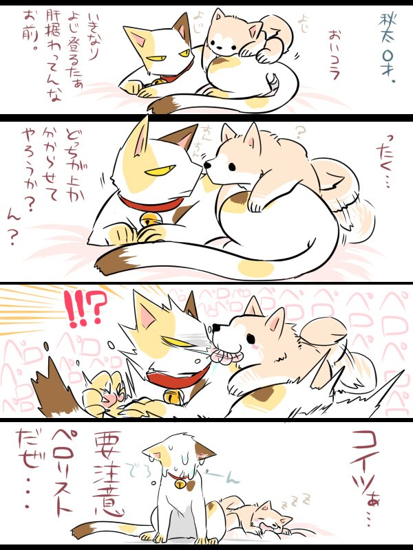 昔描いた三毛猫と秋田犬の兄弟漫画② 