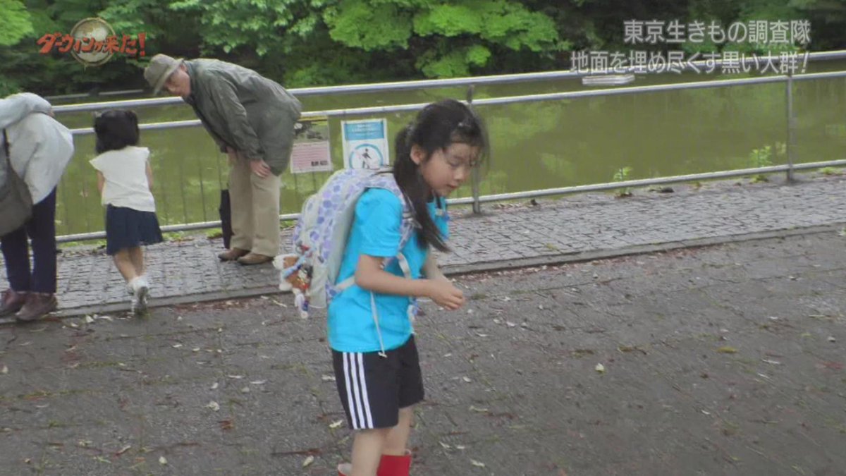 O Xrhsths ひきがえる Sto Twitter 光が丘公園のバードサンクチュアリのほうかと思ってたら鑑賞池でも産卵してたのか ちなみに 光が丘公園の南に 春の風公園 というのがあって そのものズバリ 蛙池 という池があるらしく そっちも事前観察に行ってみるかな