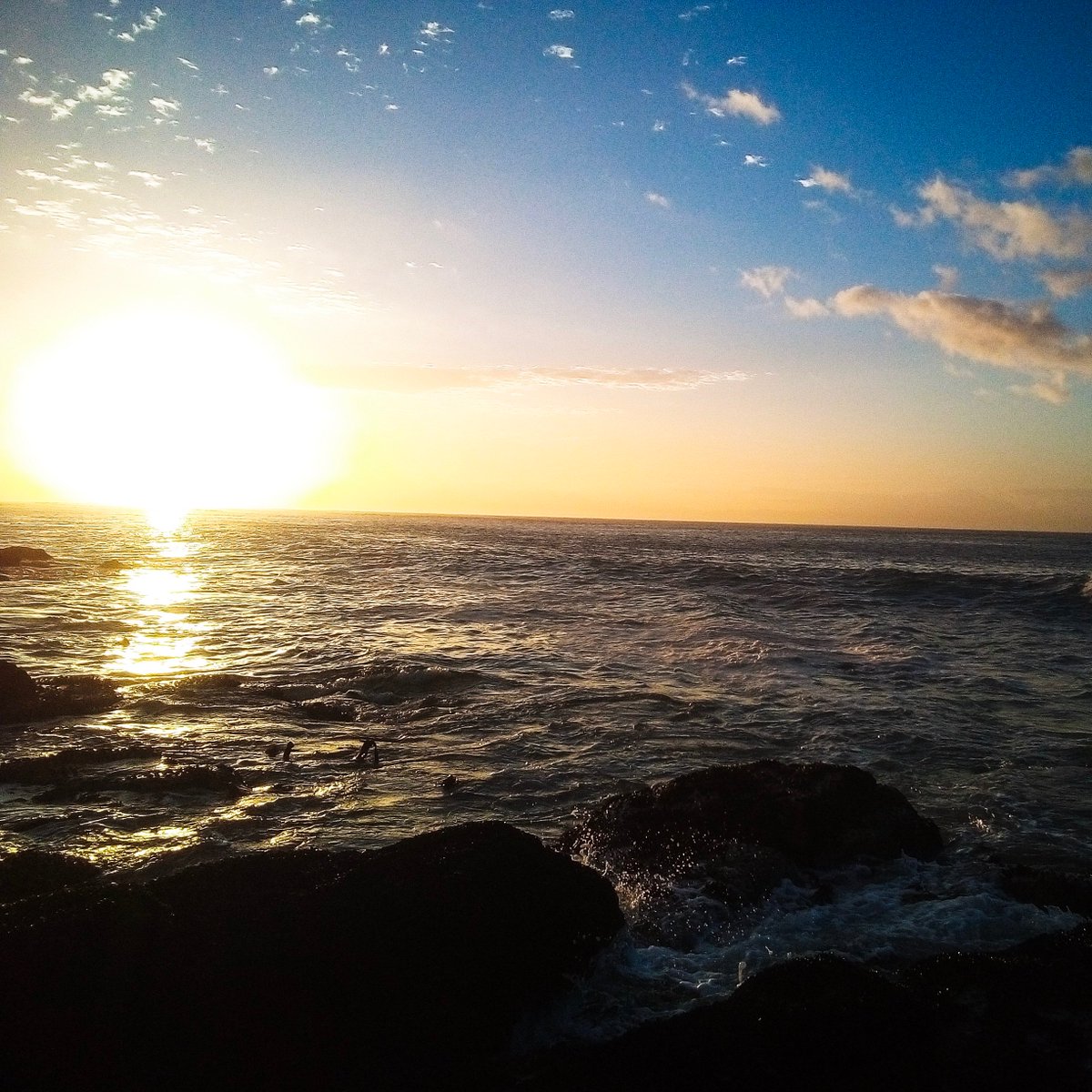 DOOGEE South Africa tweet media
