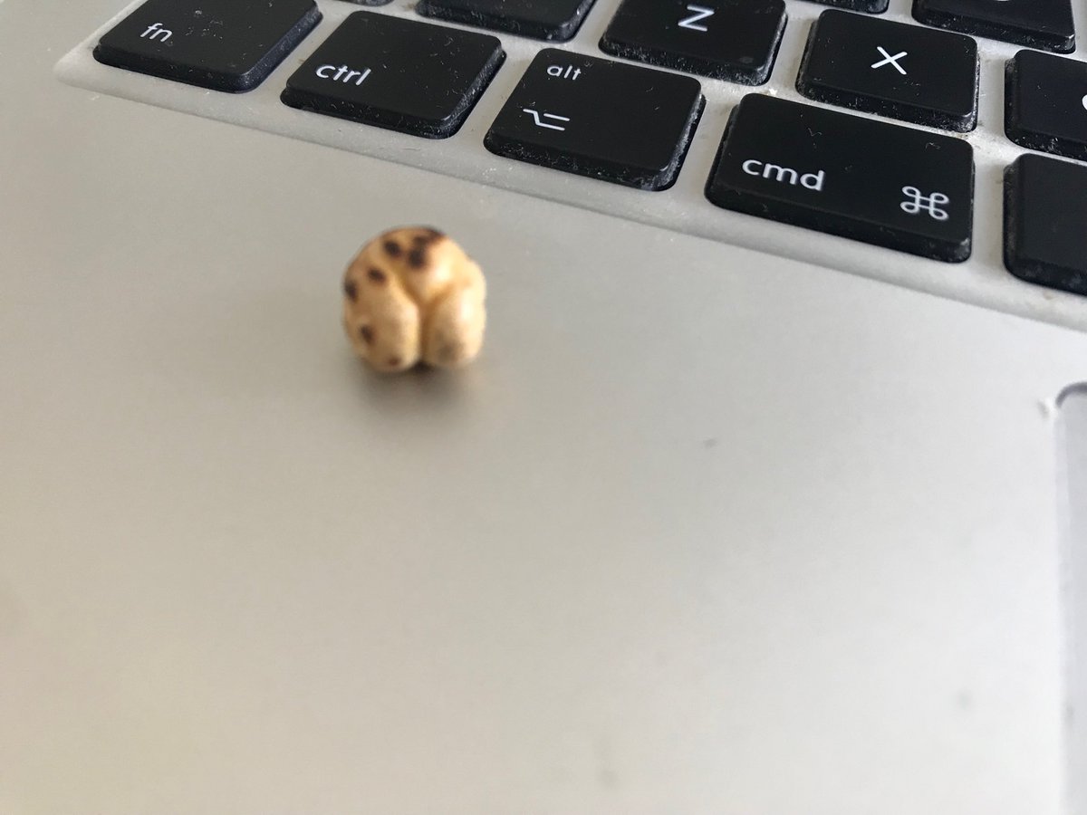 anneveinberg's tweet image. Day 3 #CodeKlavier #AR residency ⁦@0felipeignaci0⁩ ⁦@cappelnord⁩