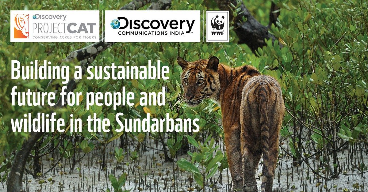 Discovery India and @WWFINDIA have initiated a program to protect the world’s only mangrove tiger habitat by introducing an integrated approach to prioritize habitat management, mitigate human-wildlife conflict and build resilient communities in the Indian Sundarbans. 
@mtata0503