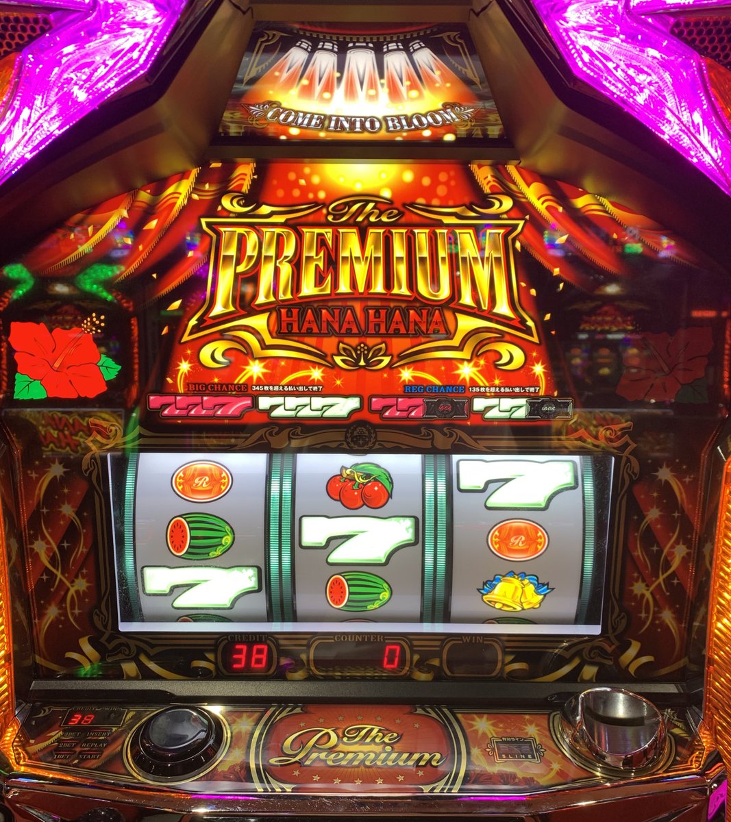 割と久々に打ちにいきましたw 仕事おわりのハナは癒されますねw #沖