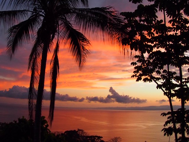 absolutepr's tweet photo. MD Rachael is a keen traveller, and her wanderlust inducing photos come from the OSA Peninsula in Costa Rica and the Galรกpagos Islands. Look at those sunsets! ๐๐๐ธ #TeamAbsolute #WorldPhotoDay https://t.co/lwybvb4v15