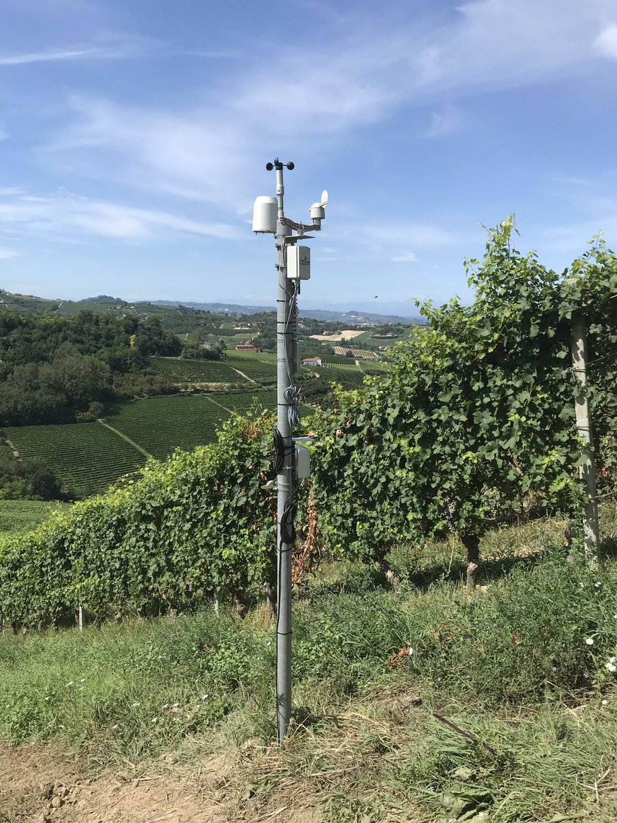 Oggi su @TgrPiemonte <a href="/RaiTre/">Rai3</a> si parla di <a href="/PoliTOnews/">Politecnico di Torino</a> <a href="/iXemLabs/">iXem Labs - PoliTo</a> <a href="/IxemWine/">iXem Wine</a> #VerruaSavoia #VignaDelNonno edizione delle 14:00 in replica alle 19:00