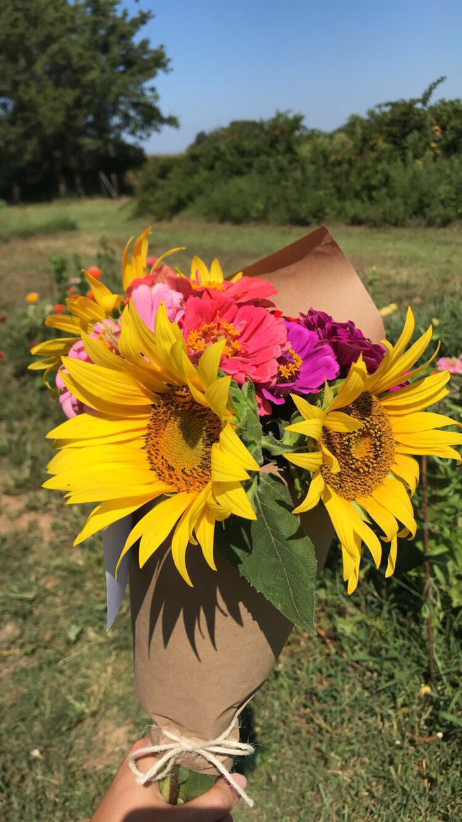 JosFlowerCo1's tweet photo. After all the chaos of photo sessions in the sunflower field this past weekend it’s so nice to be able to just sit and make a bouquet💐🌻 https://t.co/aQjXLsOBBC