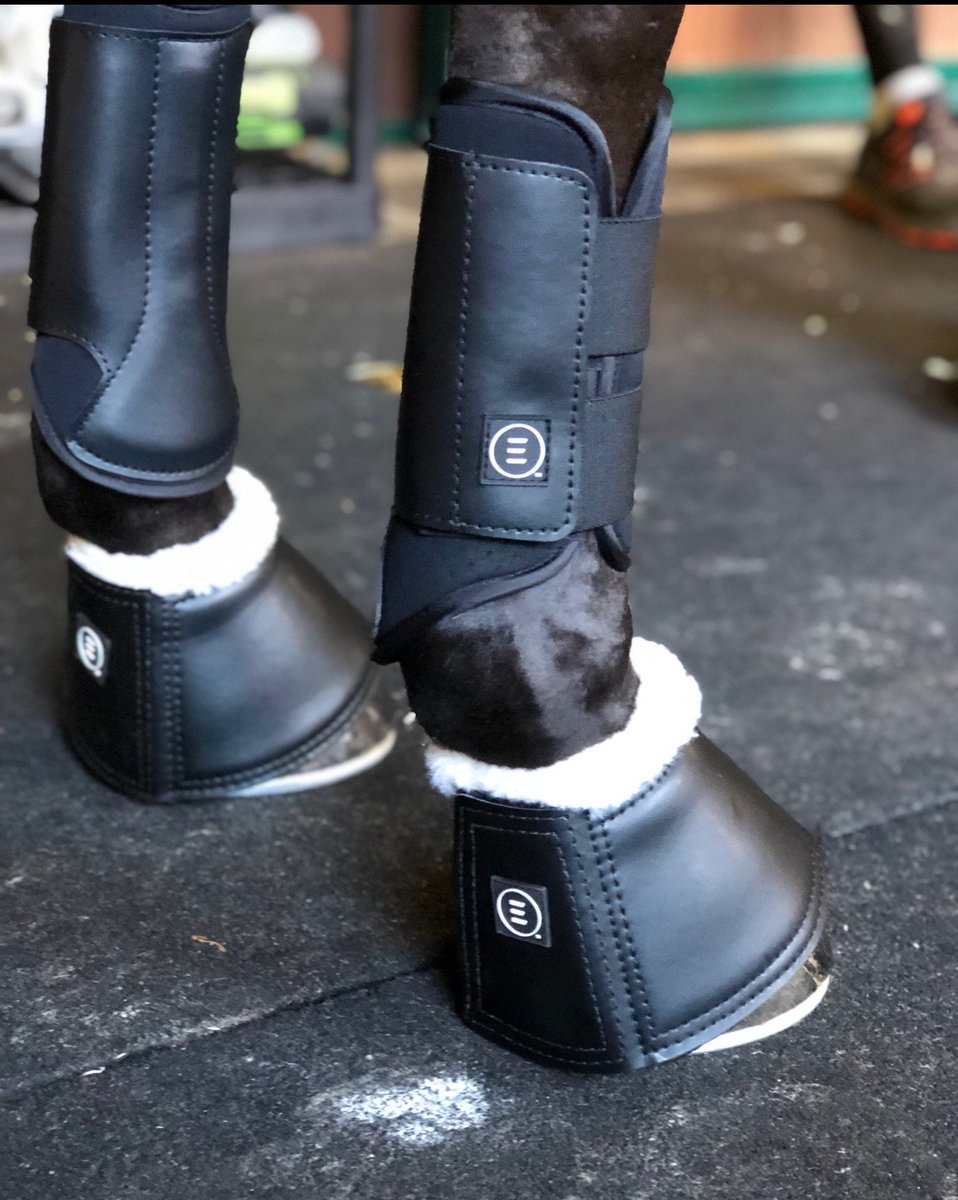 Monday morning turnout Essentials. 🔆 
#EssentialByEquiFit #EveryDayBoots #SheepsWoolBellBoots