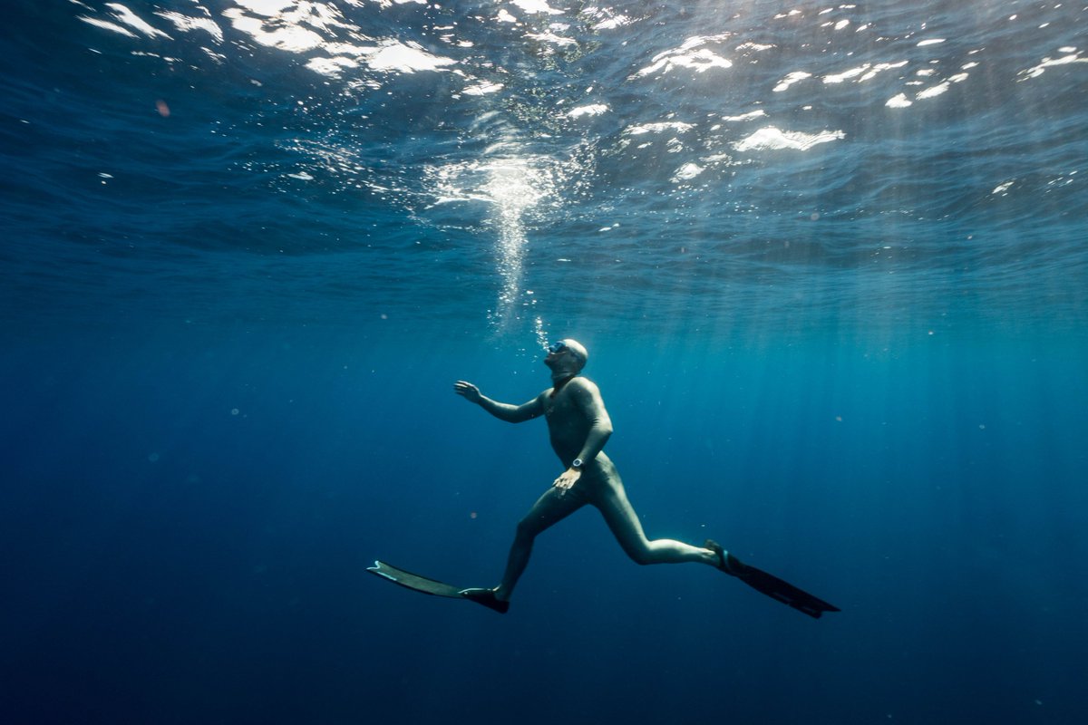 They say that real silence exists only under water. 🌊 Here's your chance to explore the underwater world with an award-winning diver. Take a chance, and dive deep under water ➡️bit.ly/2KUBJcg