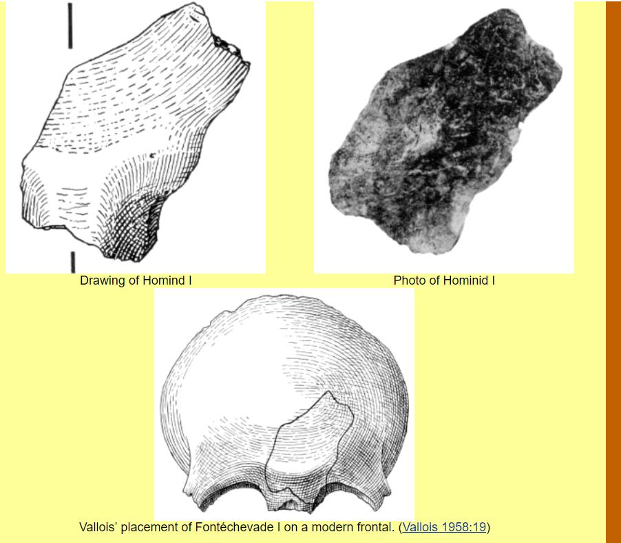 The results from Henri-Martin’s excavation made Fontéchevade a famous type-site. A few pieces of hominid skull were identified as belonging to the “presapiens” a purported group of modern human ancestors in Europe before the Neandertals/4