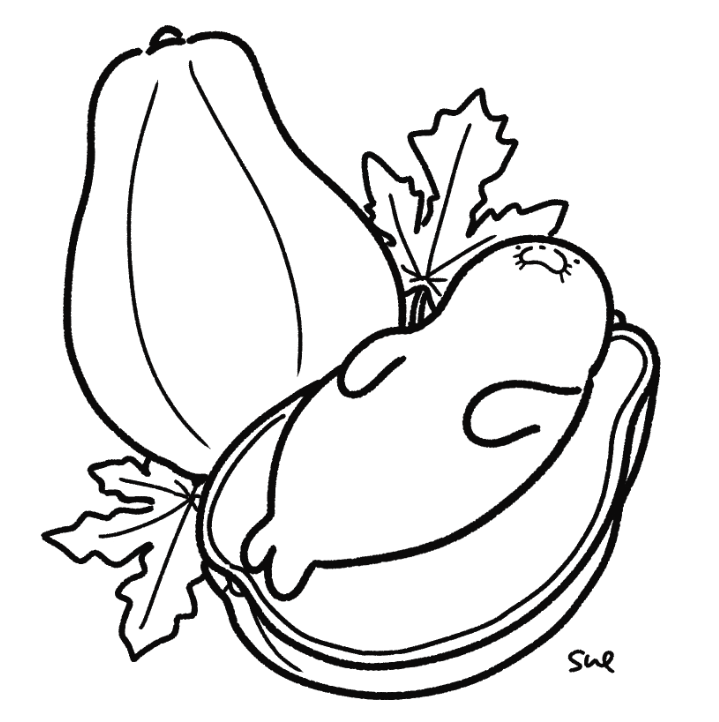 さかもとすみよ Studio Sue Auf Twitter おやすみなさい すっかりあいだがあきましたが夏っぽいくだものシリーズその2 パパイアのあざらし添え 舟盛り風 あざらし アザラシ イラスト Illustration Seal Papaya パパイヤ パパイア トロピカル