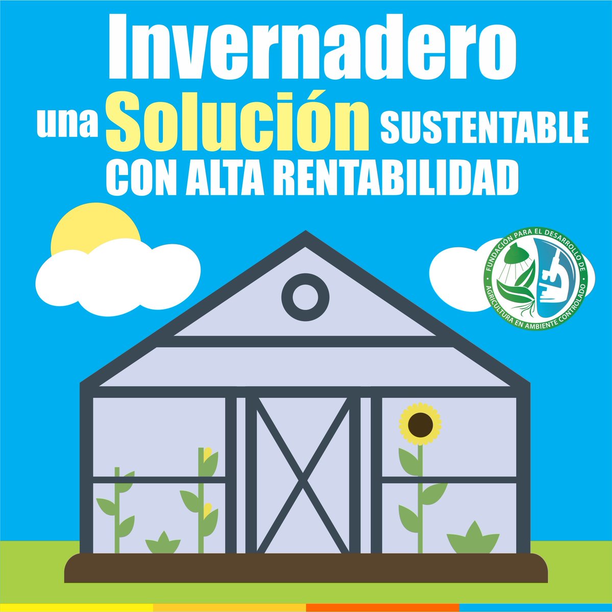 ICCEAlatam's tweet photo. Los que trabajamos la tierra sabemos la difícil tarea de mantener la siembre, los gastos en agua y químicos para alejar las plagas, esto influye en la rentabilidad del producto. #Agricultura en #Ambiente Controlado #panama 2019 https://t.co/Ubv3i0qZPz