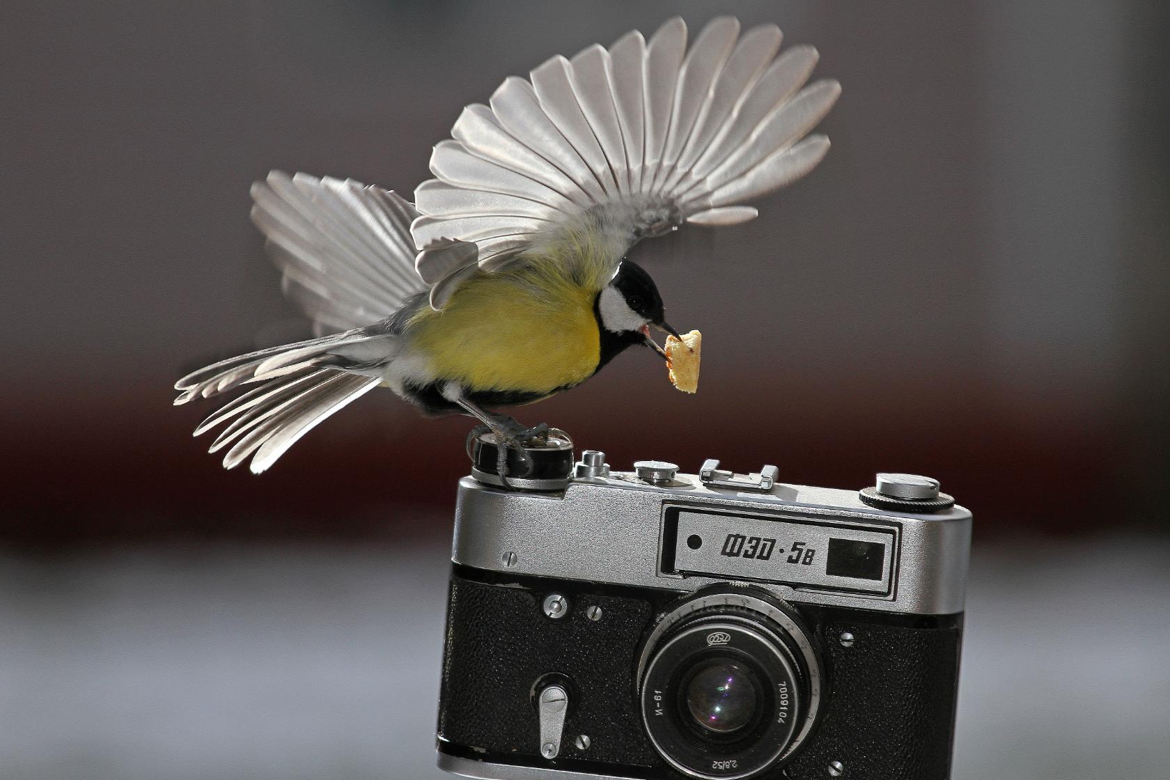 Открытка для лучшего фотографа
