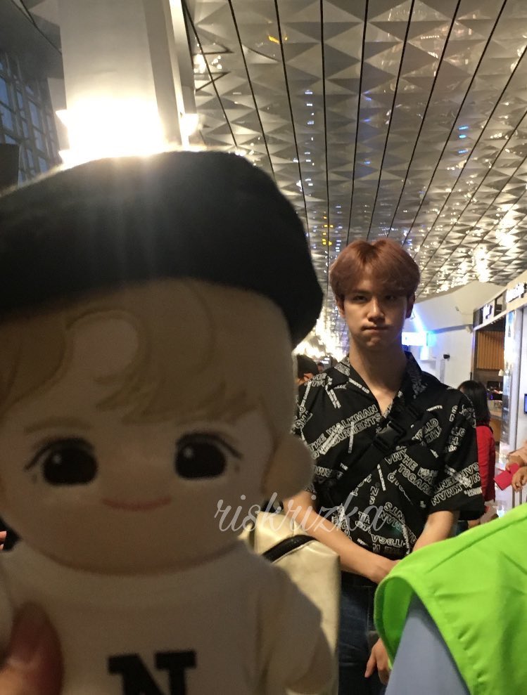 mcm_bear's tweet photo. "누나 그건 가짜예요 제가 진짜라구요" https://t.co/6Ytw1YFA83