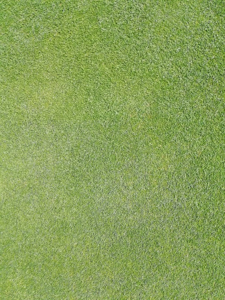 Newquay Golf Club tweet media