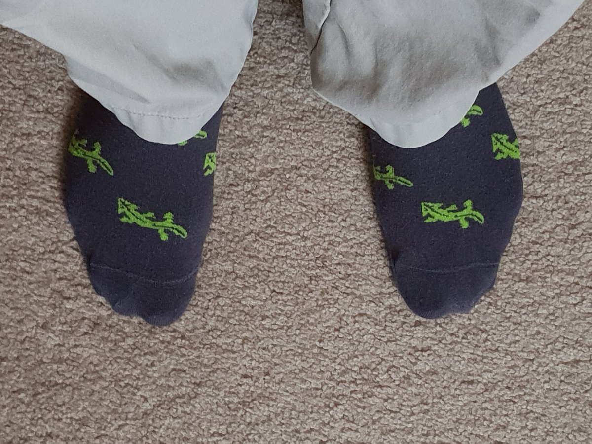 GermJuggler's tweet photo. It's the #FirstDayOfFallSemester. Time to break out the #HowieSocks for good luck. @MissouriSandT @BIOINTERACTIVE https://t.co/uGSeH4fOdO