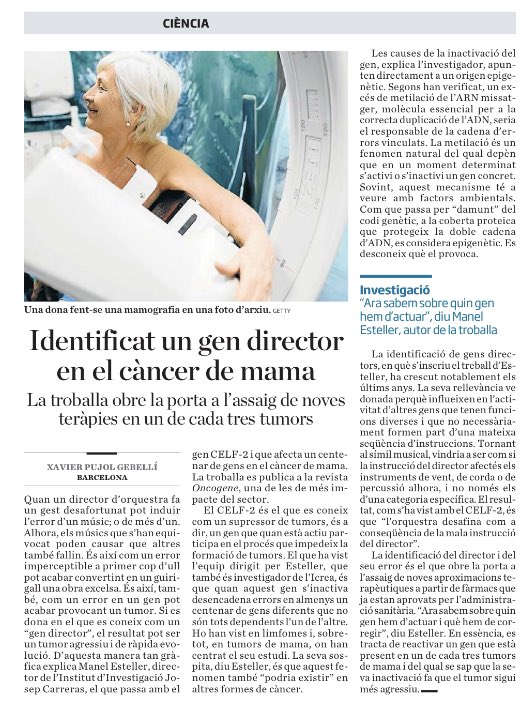 montse_barcelo's tweet photo. Good #research news made in #Barcelona #oncogen #breastcancer @ManelEsteller @oncogenejournal @ASCO @diariARA @estherveraARA https://t.co/cnQzT0eN7d