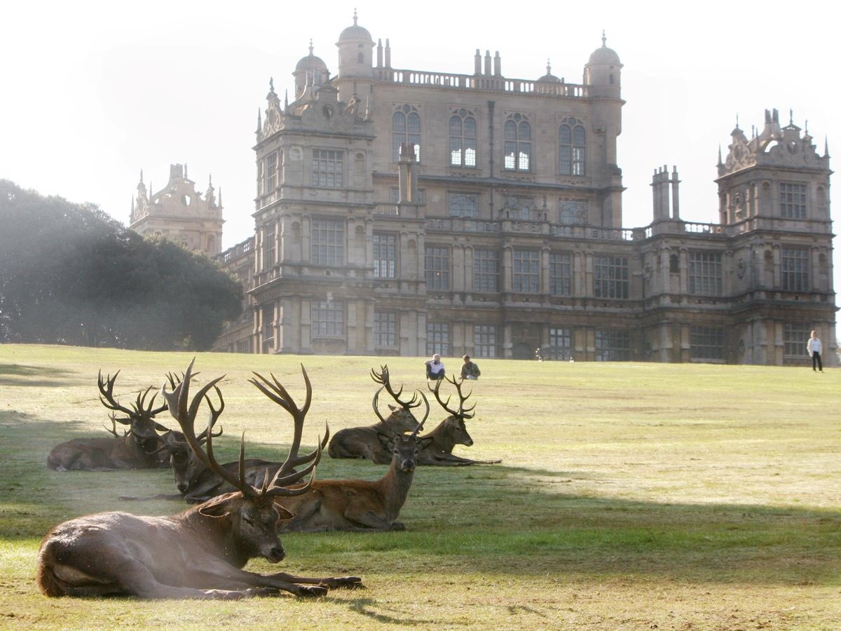 Zafran Khan 🇬🇧 tweet media