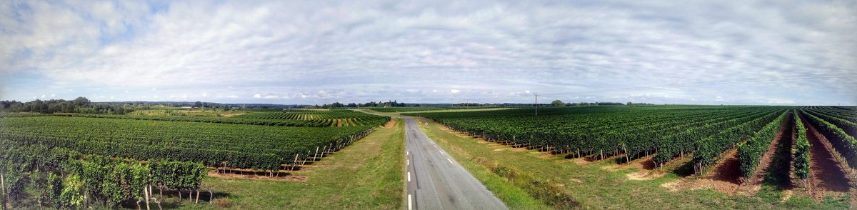 GirondeBikes's tweet photo. Setting off on the open road.... 🚲 ☺ https://t.co/IuPOQnLtfg
