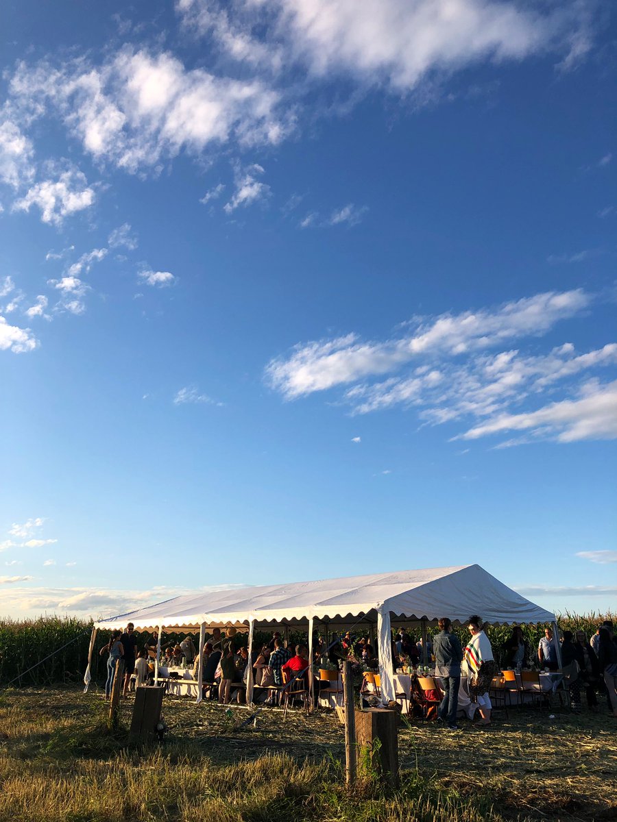 juliefmitchell's tweet photo. Awesome day spent at @WestwayFarmsLtd yesterday at their #ABopenfarmdays event hosted by #SeasonandSupply. Well done to everyone involved. We were glad to have been a small part of it, representing @Richardson_INTL. If you get a chance to attend one of their dinners, go for it! https://t.co/O1v1lbFlWm