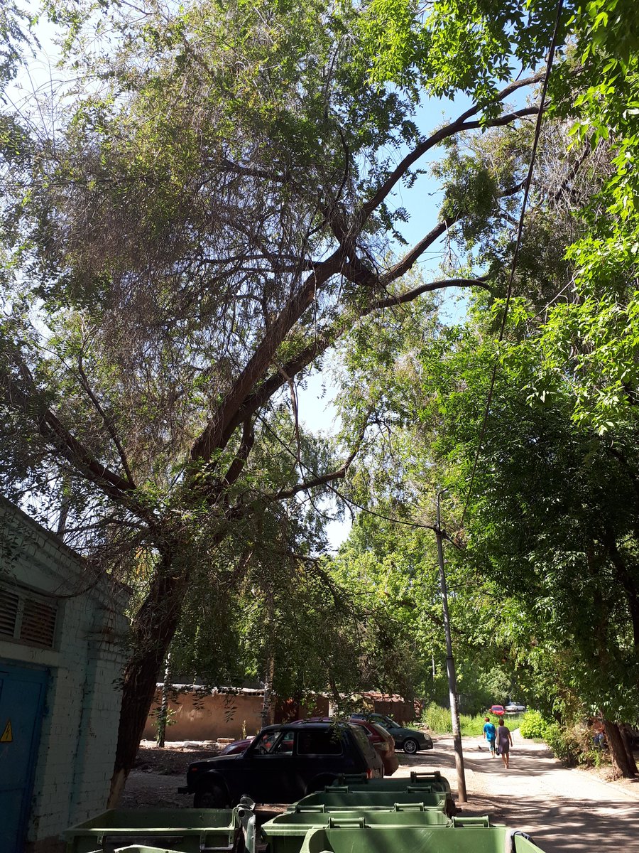 Юлия tweet media