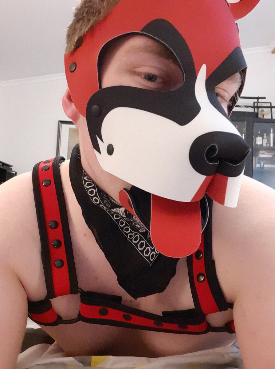 This is a big bed for just one Puppy.
Any good pups want to join me?

(Naughty pups also accepted 😜)

#pupplay #puppyplay #wruffstuff