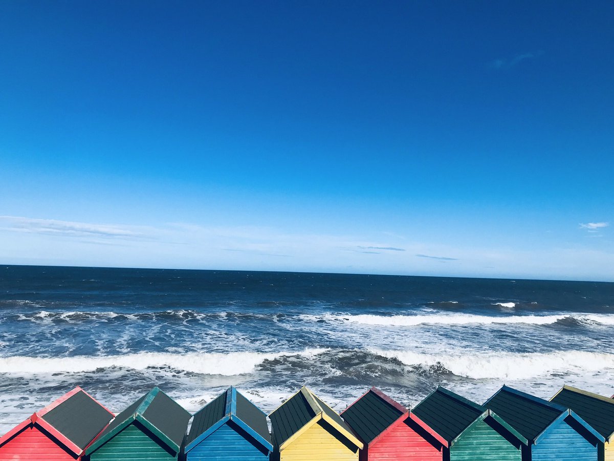 Phil Trumper tweet media