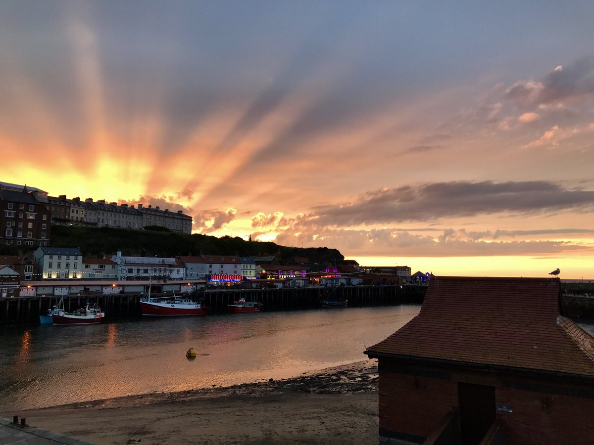 Phil Trumper tweet media