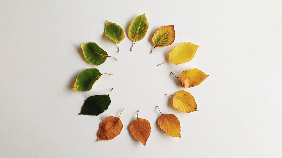 Creating a culture of continuous improvement
buff.ly/30JXnam