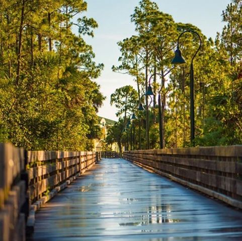 FGCUCareer's tweet photo. Welcome back eagles!!! Don't forget to stop by our office if you need to talk about major exploration, job search, grad school and resume writing. Schedule an appointment today!  #wingsup https://t.co/ti8xeuItrM