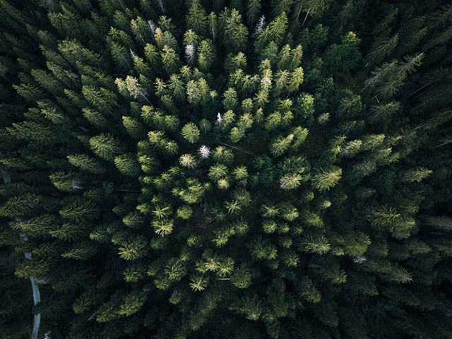 Gledelig World Photography Day! Vi er fortsatt forelsket i vakker natur og dronefotografering. Har du noen fine bilder å vise oss?⁠
⁠
Tagg oss så vi får se! 😍⁠
⁠
Foto av @intothefab
#worldphotographyday ift.tt/31QvHjH