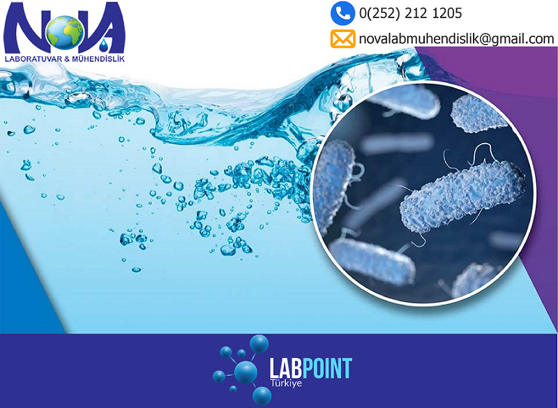 LabpointTurkiye's tweet photo. Nova Laboratuvar Hizmetleri İş Güvenliği Çevre Danışmanlık ve Mühendislik Ltd. Şti.; Legionella Analizi konusunda hizmet vermektedir. 

https://t.co/6kFZysXW5h

#novalab #mühendislik #çevre #laboratuvar #analiz #atıksu #işsağlığı #danışmanlık #onlinelaboratuvar #labpointturkiye https://t.co/Uq6aeenK0q