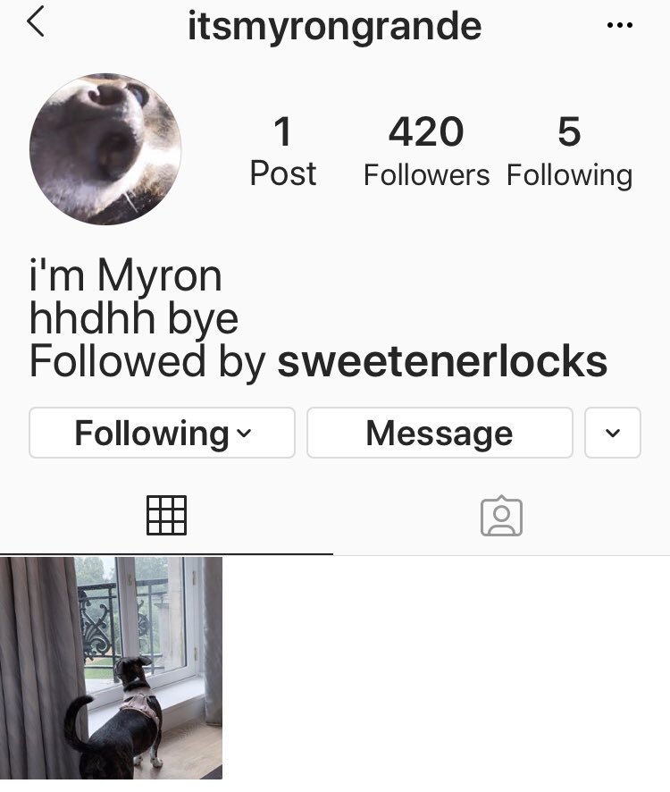 graandekingdom's tweet photo. follow Myron. @ArianaGrande just made an account for him☁︎ https://t.co/K6OyfhB0U5