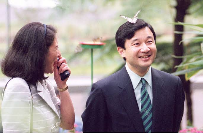 Yoko Al Twitter Ab K Yamak むかし雅子さまの髪に蝶々がとまったことを思い出しました Twitter