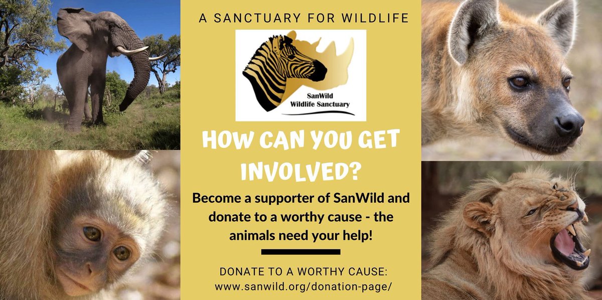 SanWild Wildlife Trust tweet media
