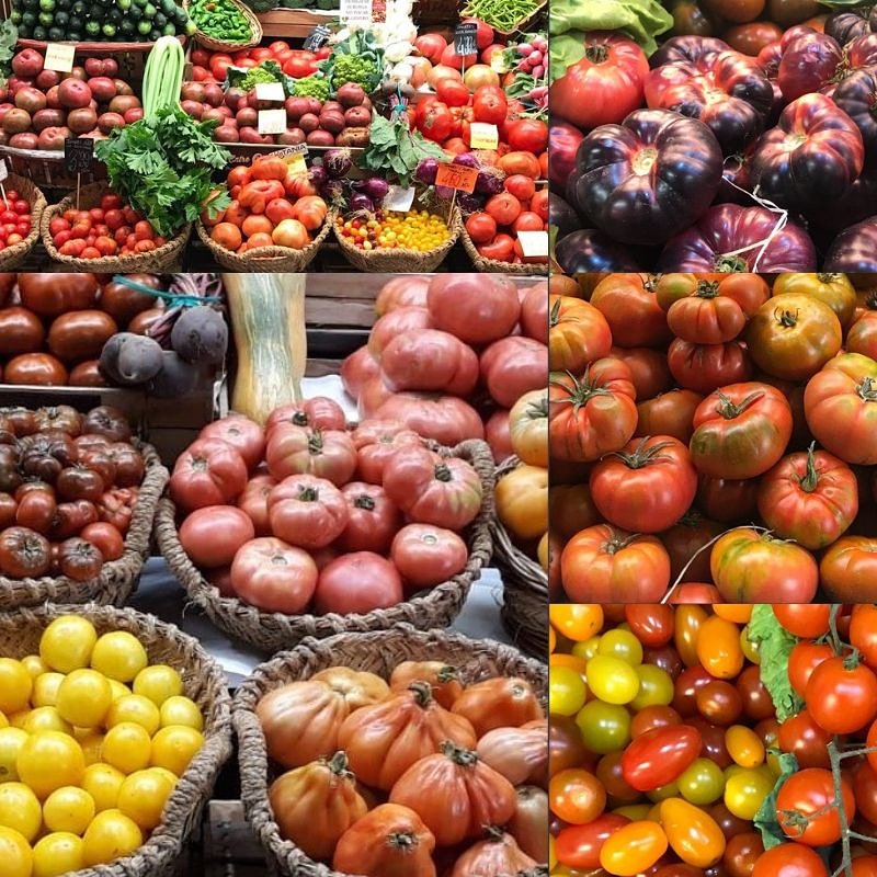 El verano es tiempo de tomates y para gustos tomates. Los encontrarás en tu tienda de #entrecolycol en el #mercadobarcelo  #entrecolycolmadrid #malasaña #chueca #salesas #tribunal #madrid #mercadosdemadrid #fruteriaecologica #fruteriaecologicamadrid
#lahuertapingarron