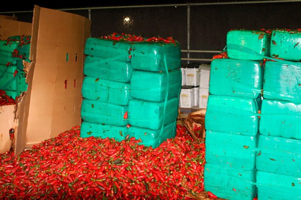 Complex's tweet photo. Nearly 4 tons of weed (worth $2.3 million) was found inside a jalapeños shipment at the Otay Mesa border in California: https://t.co/Nr7CehxpVr https://t.co/UZTGwNakIP