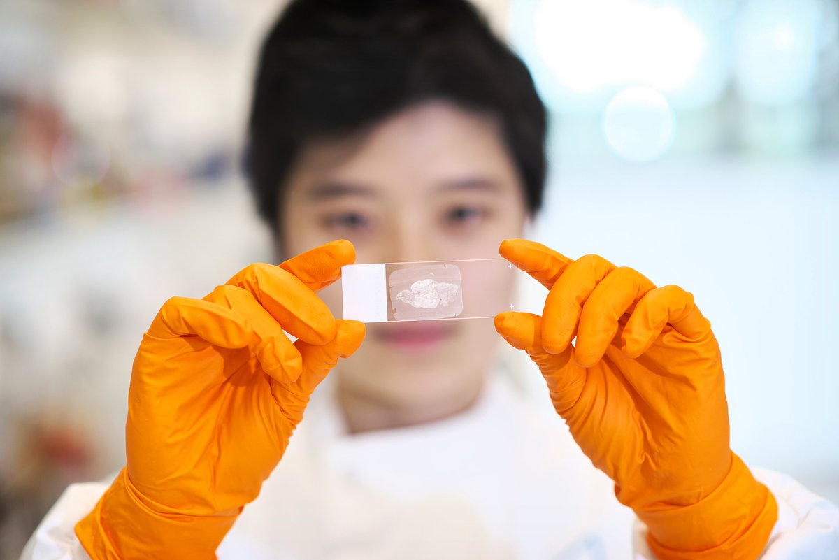 bigctweets's tweet photo. It's #WorldPhotographyDay 📷 so we're sharing some snaps from our research labs @NorwichResearch @TheQuadram taken by our talented friend @Jules_Foto 

Find out more about Big C Funded Research taking place here in Norwich at https://t.co/Xop6UrP7Po https://t.co/q98pkptw06