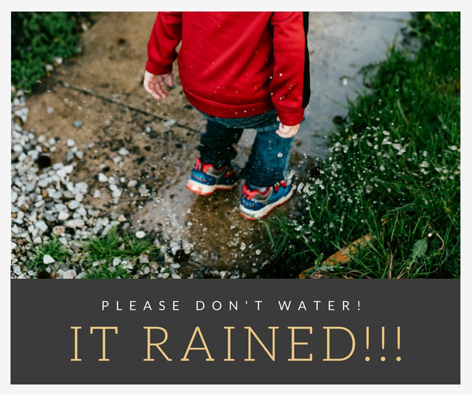 WaterSmartHays's tweet photo. Please...shut the irrigation systems off! #groundsaturated #wastedwater #saveitforanotherday #becauseitrained ! https://t.co/KGD8anAtPa