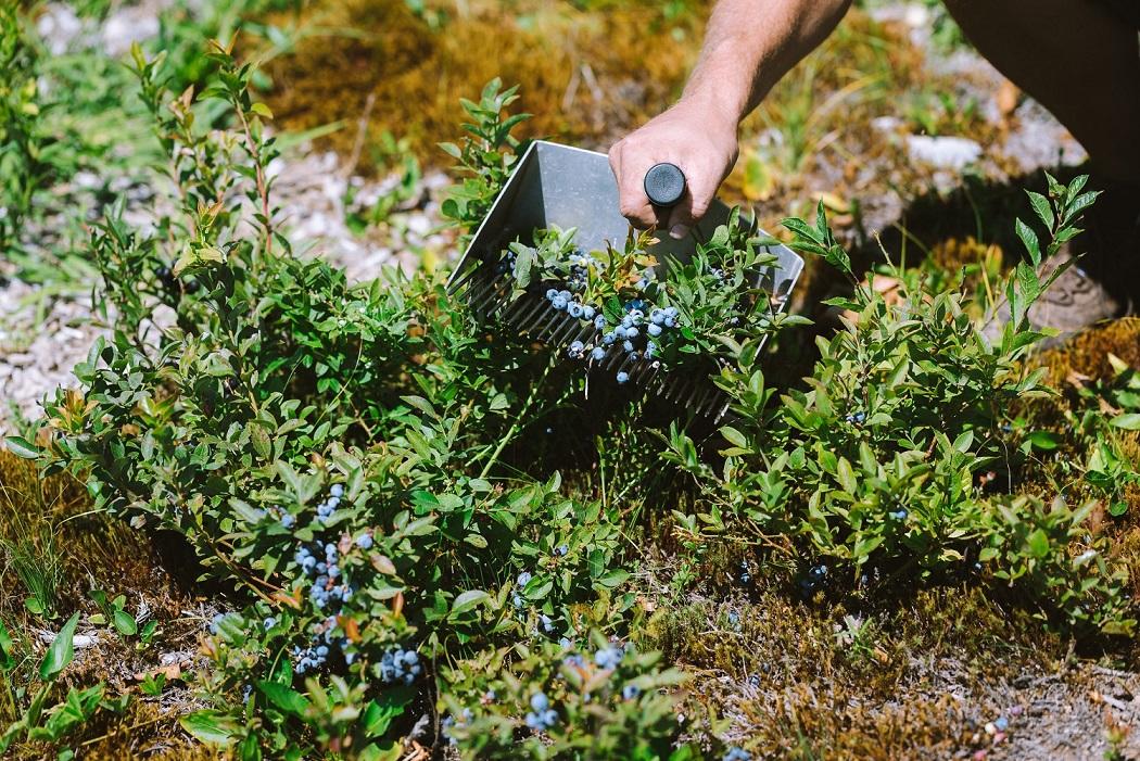 Allagash Brewing Co tweet media