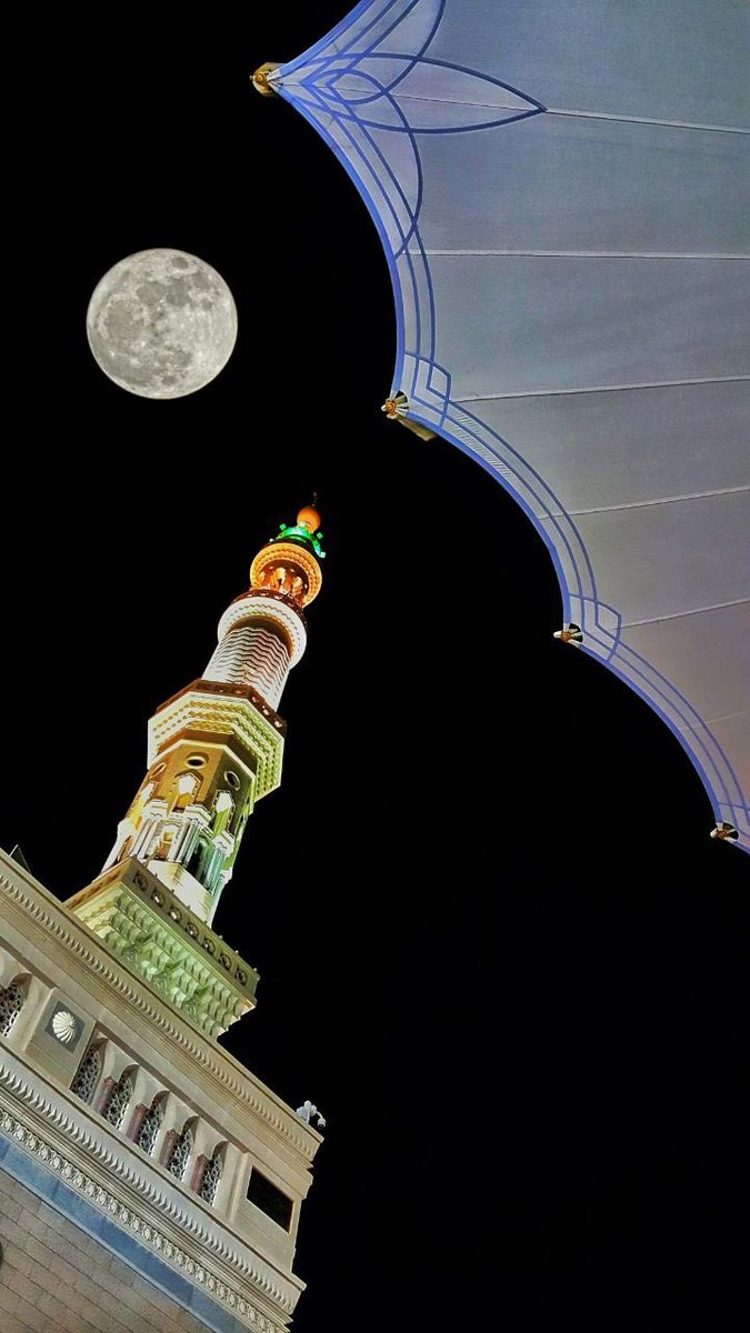 nawaf_can's tweet photo. بعض الصور التي تم إلتقاطها في سنه 
2019💞🌸
 #اًليُوم_الِعالُمُي_للتًصويُر https://t.co/s5IZTrcNu0