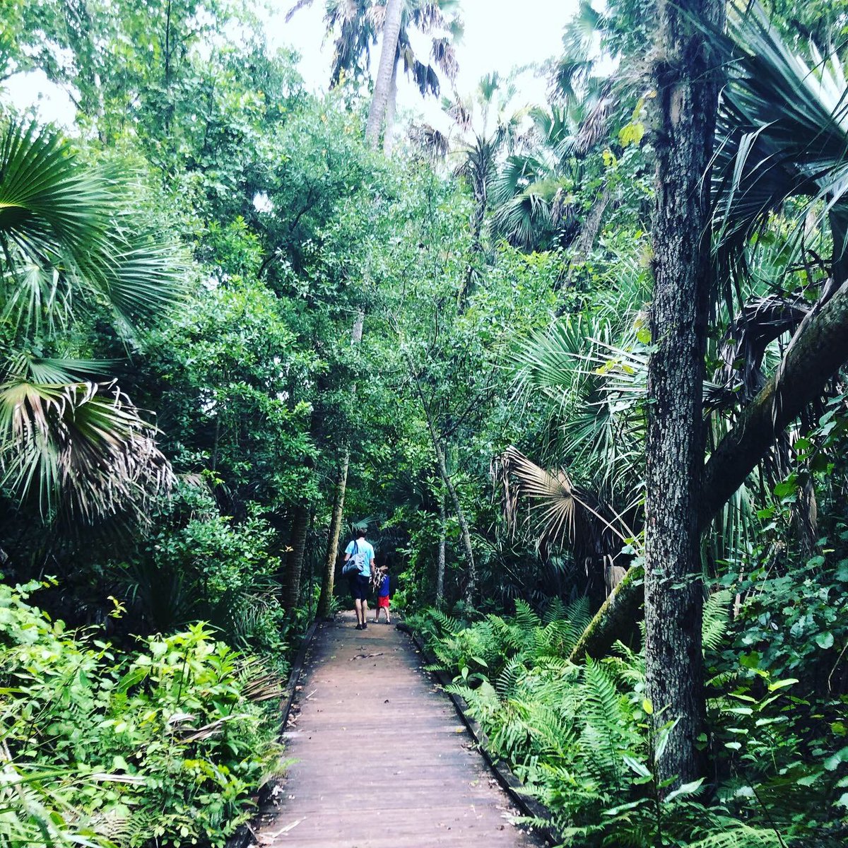 cvalhouli's tweet photo. Orlando offers much more than mouse ears and wizards -  dig a little deeper and you'll find gems like natural springs, botanical gardens and the perfect spot for authentic bowls of pho https://t.co/A6j46iSJfX @Newsweek #orlando #orlandobeyondthemeparks https://t.co/dibDvIet2K