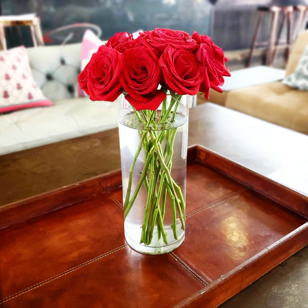 yoursassyself's tweet photo. Monday, a good a time as any to start anew. Dig in and see what blooms, it may surprise you. 😉https://t.co/WlXDmU10r4

#mondaymotivation #freshstart #yssmotivation #liveinthemoment #Manifest #dream #create #be #showup #loveyourself #loveothers #yssinspiration #slay https://t.co/xmBCQbbYIM