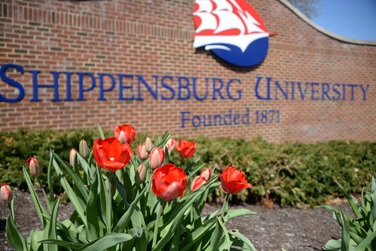 Obviously we're using #WorldPhotographyDay to show off this dandy campus of ours. 📸 #ShipIsIt