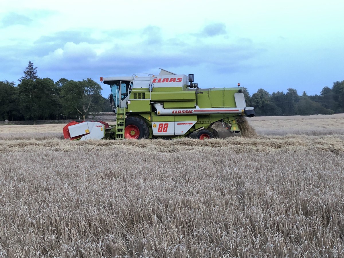 Klarax_x's tweet photo. Spring Barley Harvest in full swing this evening in Laois #harvest2019 #maltingbarley #homegrown #claas #irish #laois https://t.co/pwKhQ3QNZr