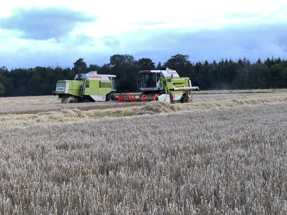 Klarax_x's tweet photo. Spring Barley Harvest in full swing this evening in Laois #harvest2019 #maltingbarley #homegrown #claas #irish #laois https://t.co/pwKhQ3QNZr