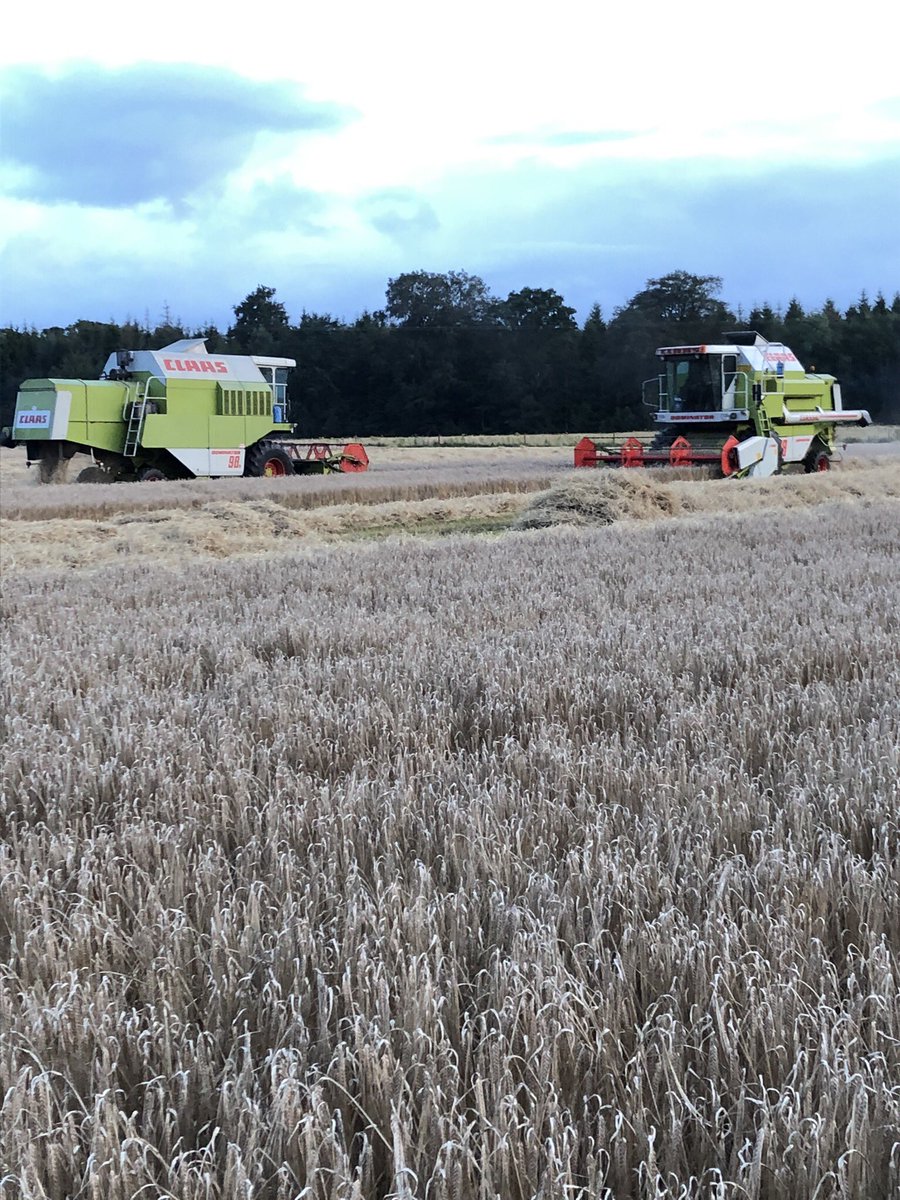 Klarax_x's tweet photo. Spring Barley Harvest in full swing this evening in Laois #harvest2019 #maltingbarley #homegrown #claas #irish #laois https://t.co/pwKhQ3QNZr
