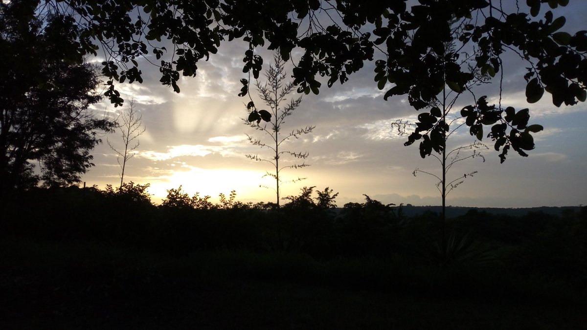TGAuthentik's tweet photo. Au crépuscule...
@FoyerDeCharite d' #Aledjo https://t.co/kFbmtxpU1d